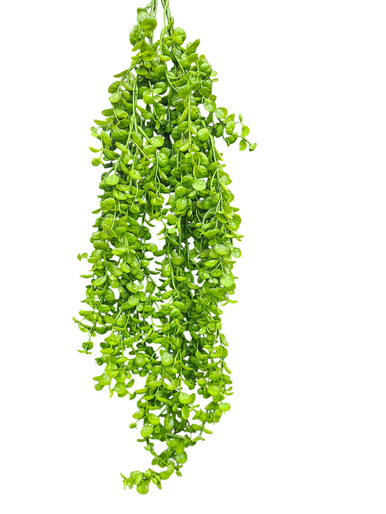 شۆرەبی