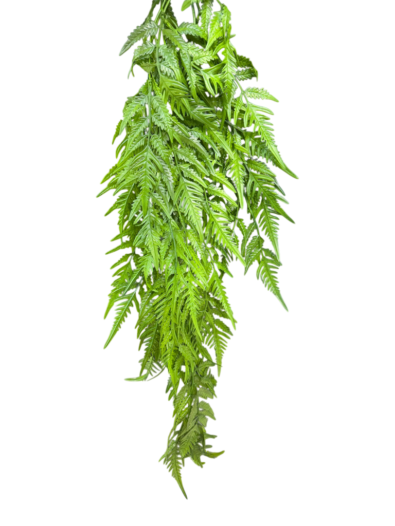 شۆرەبی
