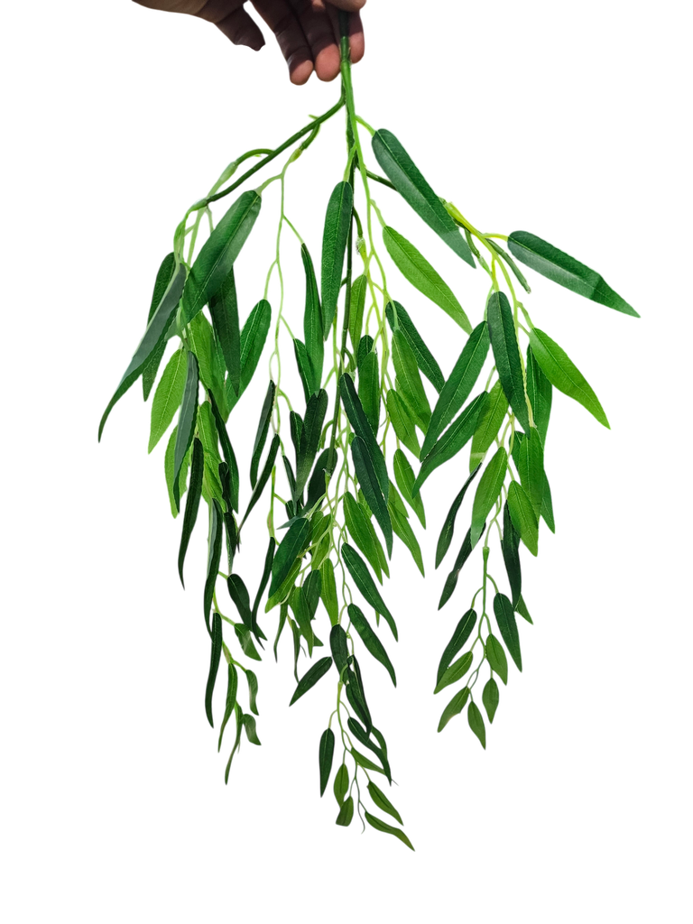 leaves