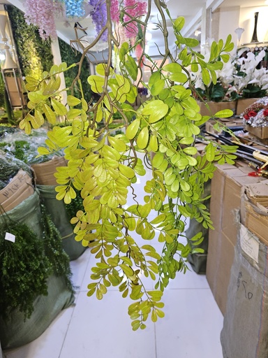 شۆرەبی