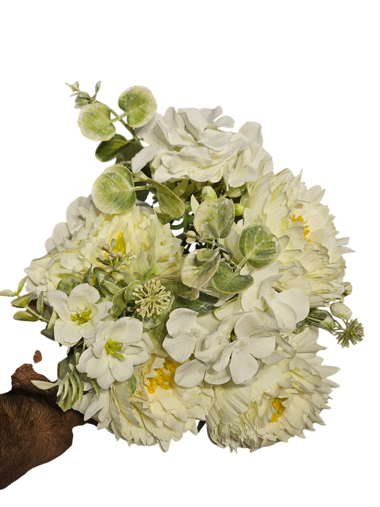 جيربرا ديزي