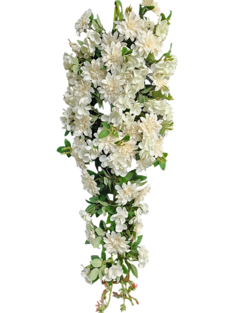 گوڵە درێژەکان