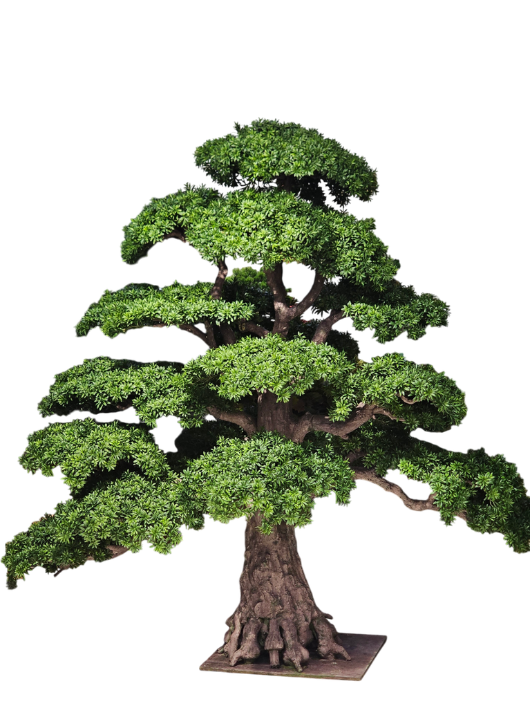 درەختی بۆنسای