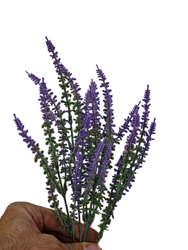 lavender