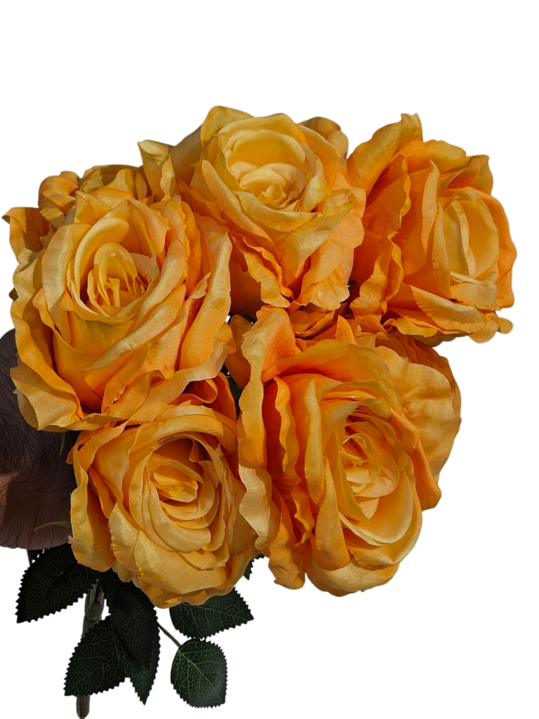 orange rose