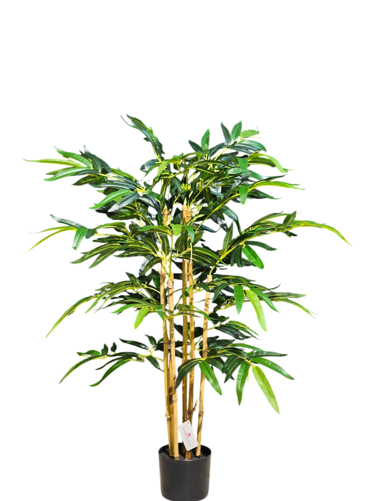 bamboo 120 cm