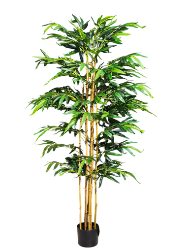 bamboo 180 cm