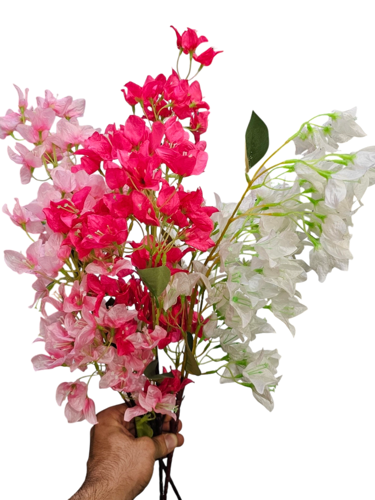bougainvelia