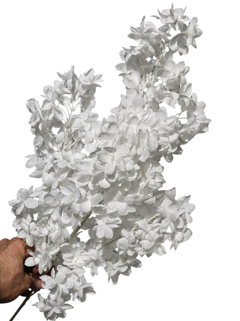 white flower branch