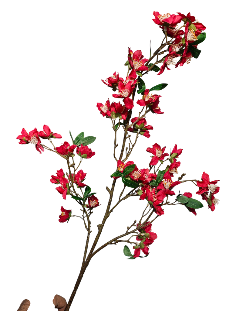red flowers branch