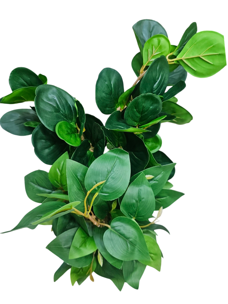 foliage branches