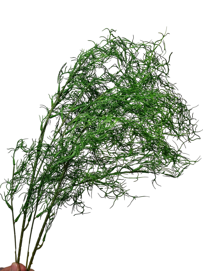 فروع الأوراق