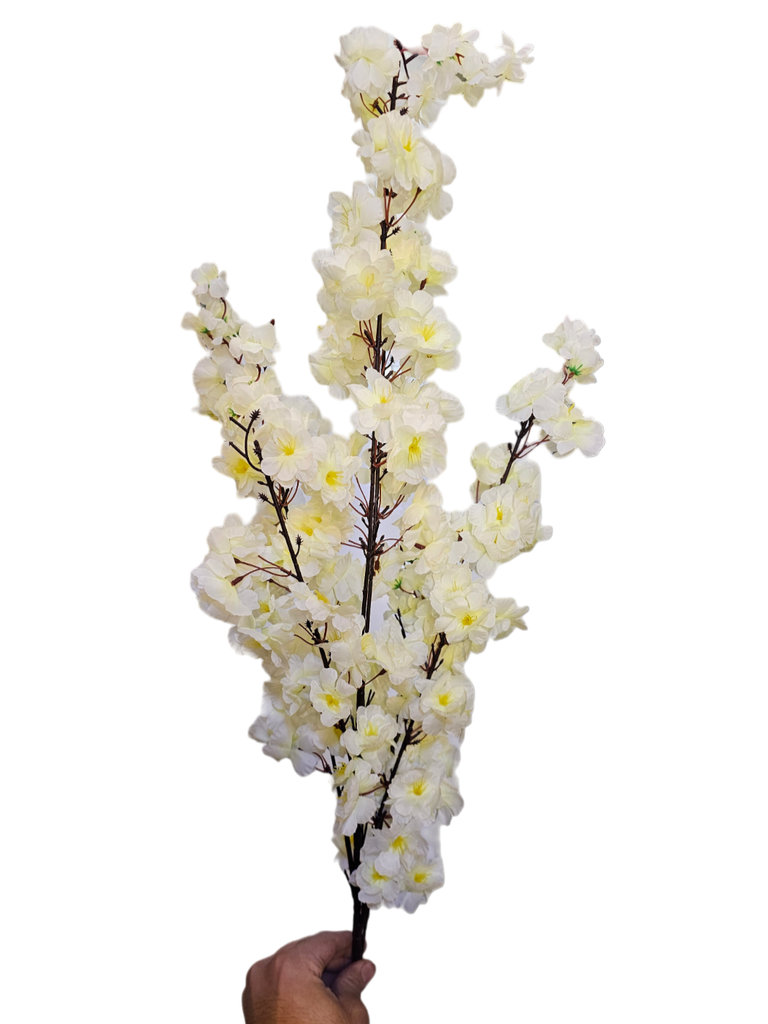 لقی خونچەی گێلاسی سپی