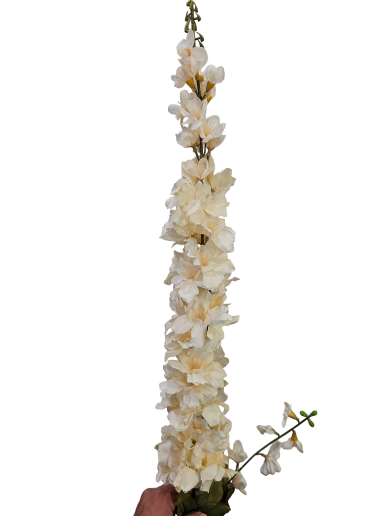 creamy wisteria