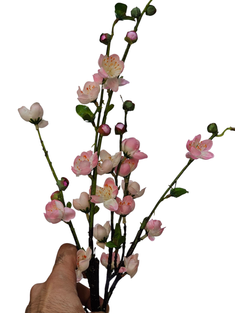 گوڵی پەمەیی