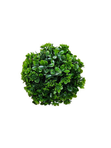 تۆپی سەوزی بچووک