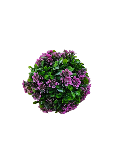 ليتل جرين بول