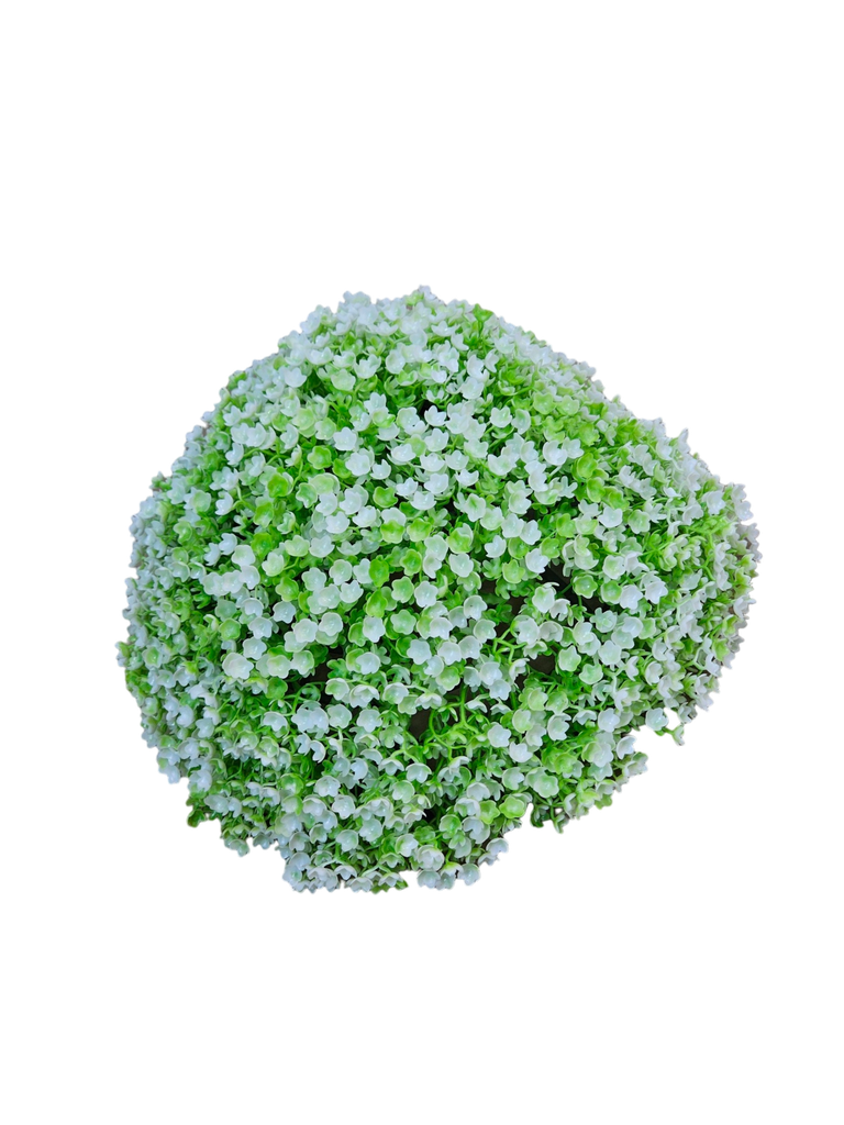 The Green Ball is the largest