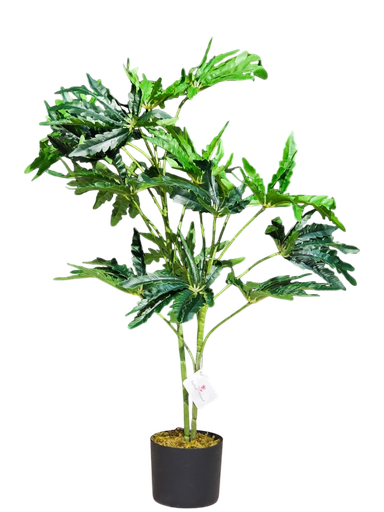 درەخت 90 سم