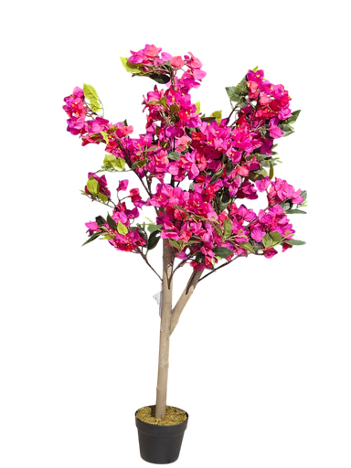 شجرة البوغانفيليا 120 سم