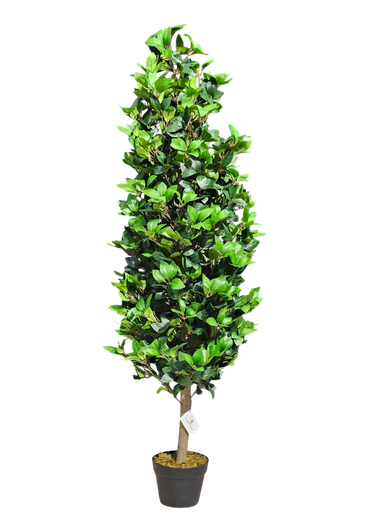 Lorbier Tree 150 cm