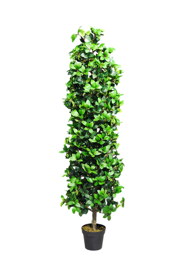 Lorbir tree 180 cm