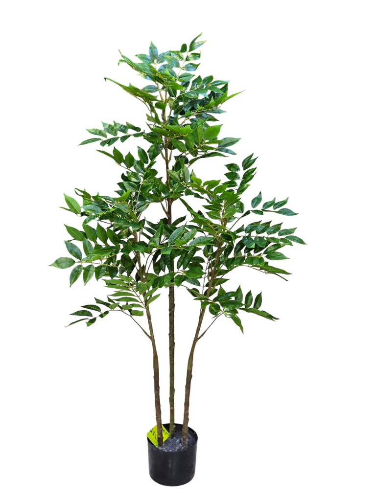 شجرة بطول 120 سم