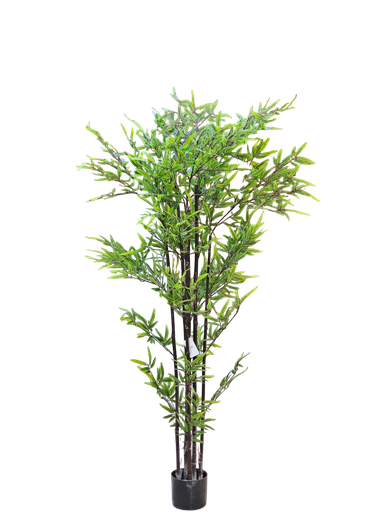 Bamboo tree 180 cm