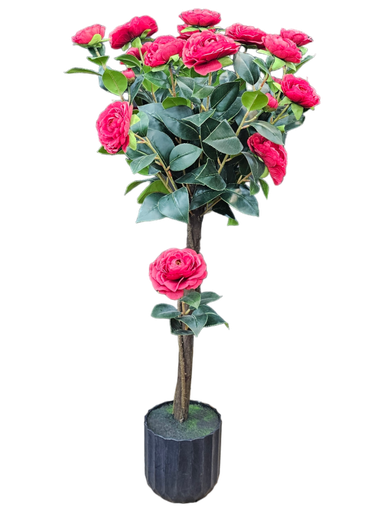 درەختێک بە گوڵ