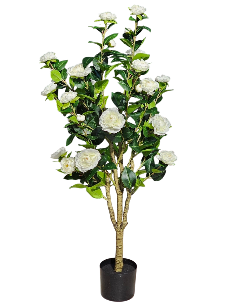 115 سم من الأشجار المزهرة