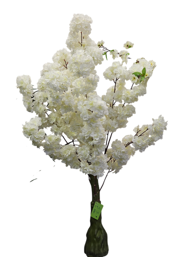 شجرة مزدهرة