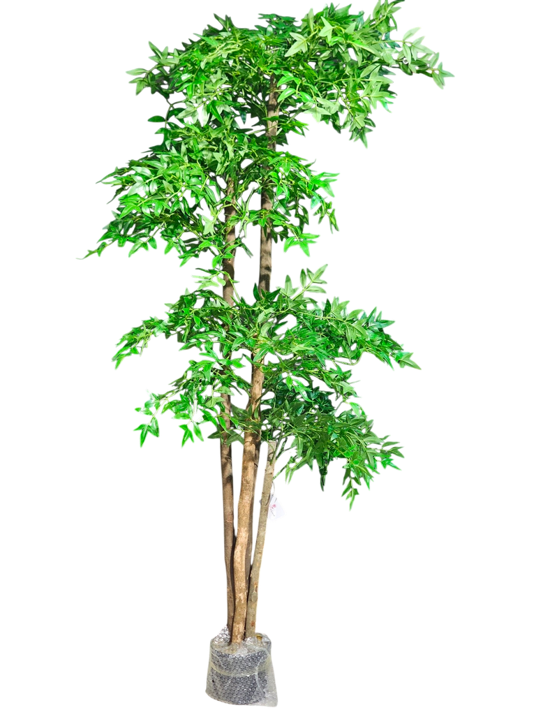 ناندینا 190 سانتیمەتر