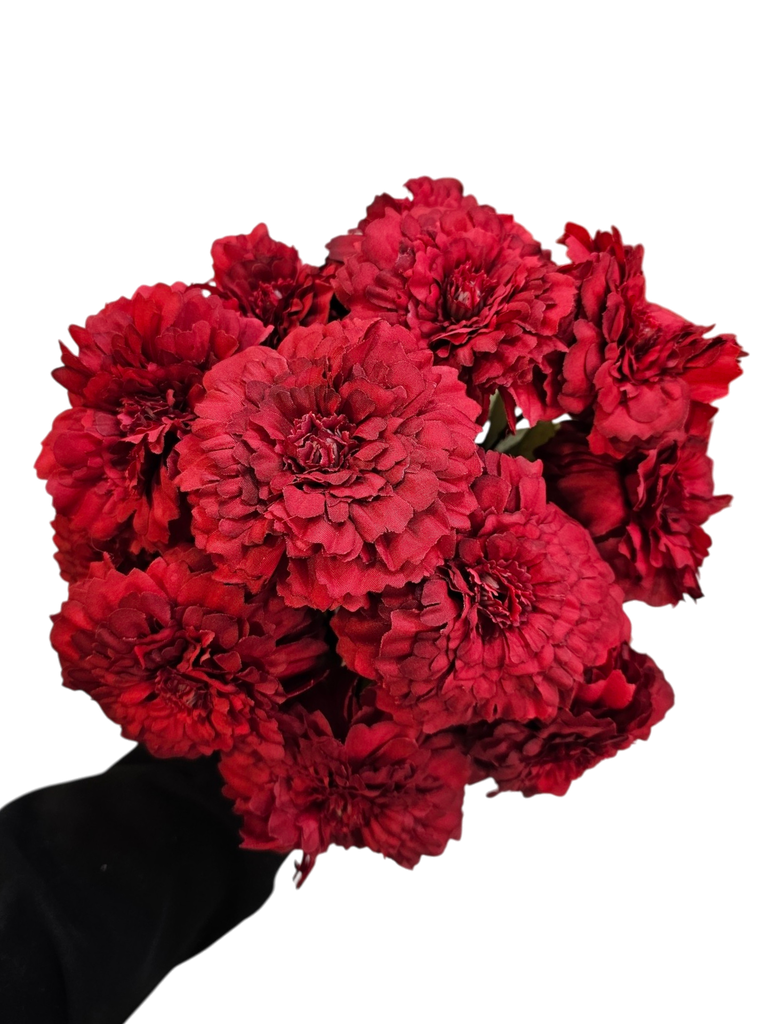 سووری داوودی