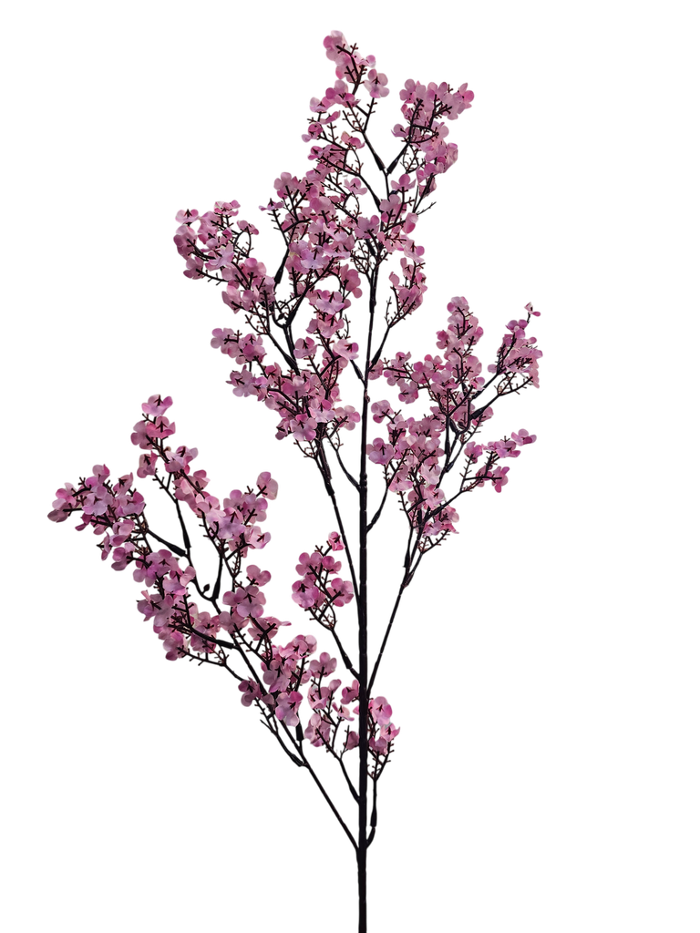 لقی خونچەی قۆخ