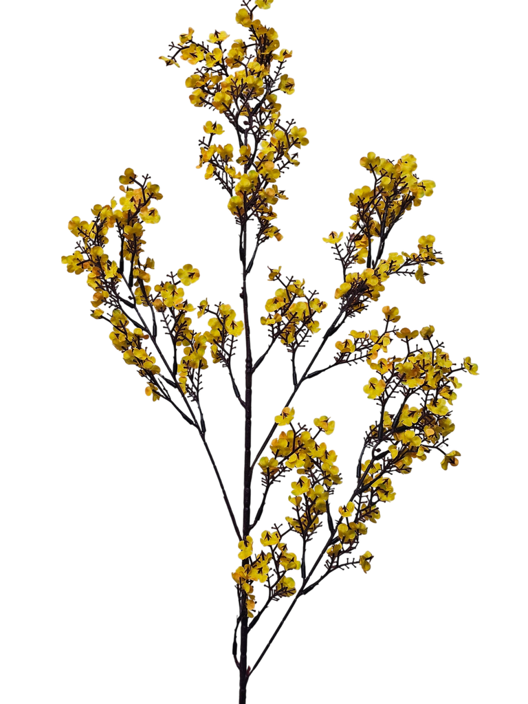 peach blossom branch