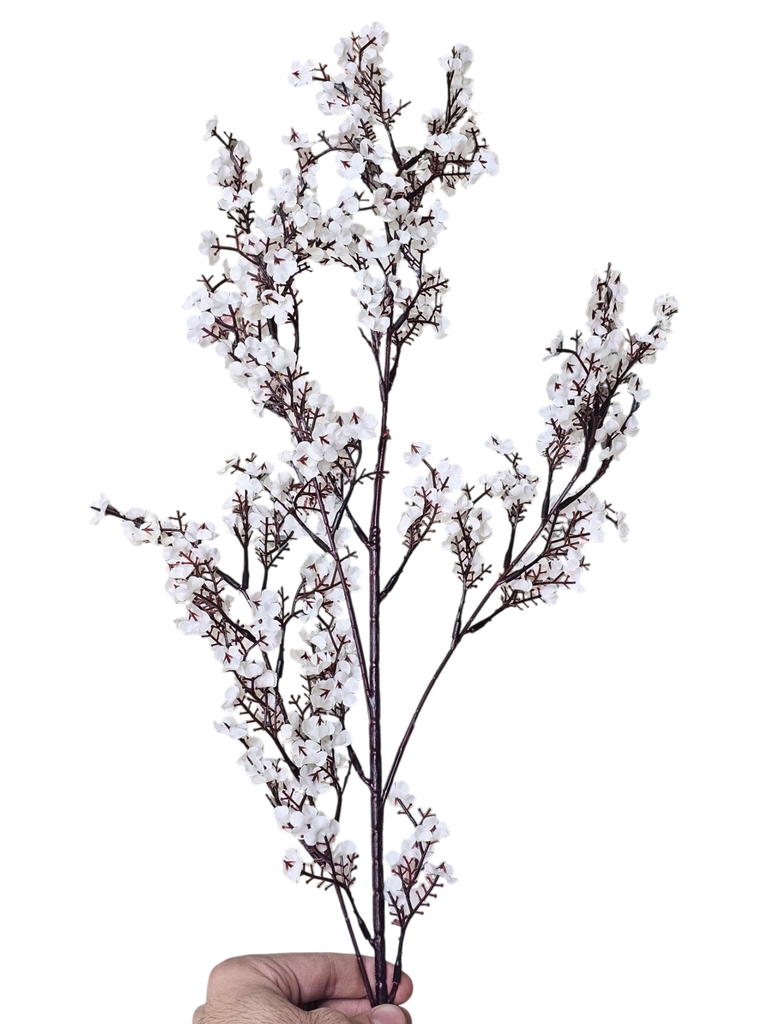 peach blossom branch