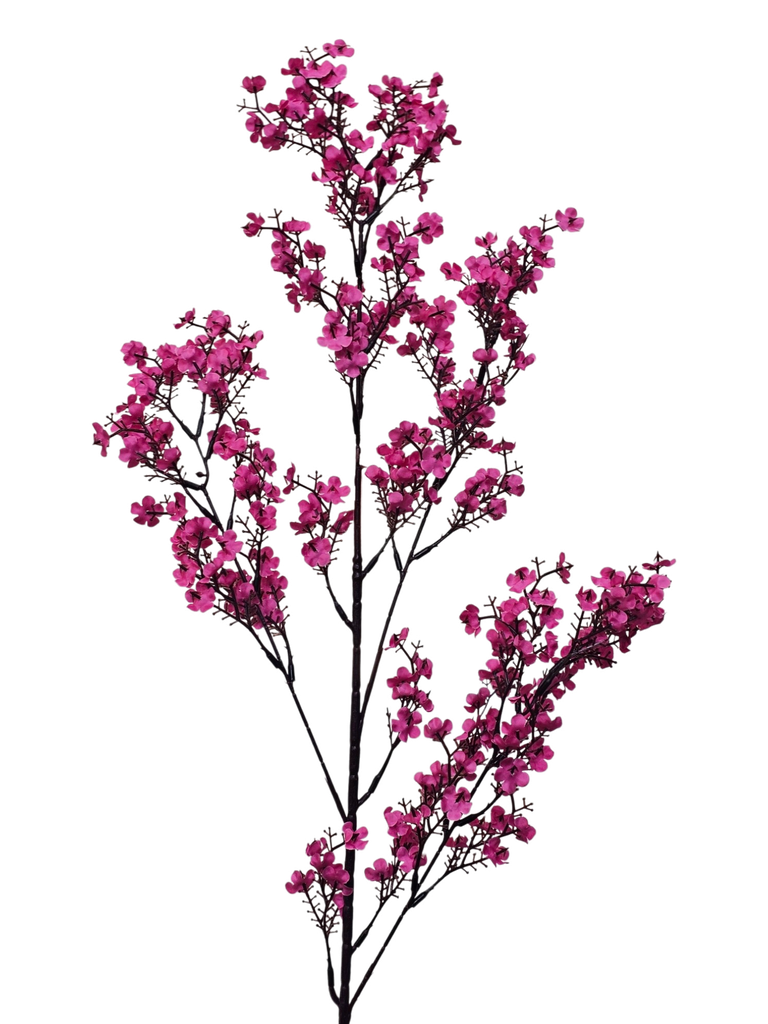 peach blossom branch