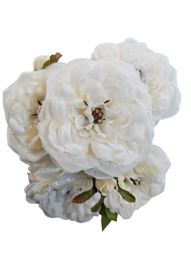 گوڵەبەڕۆژە