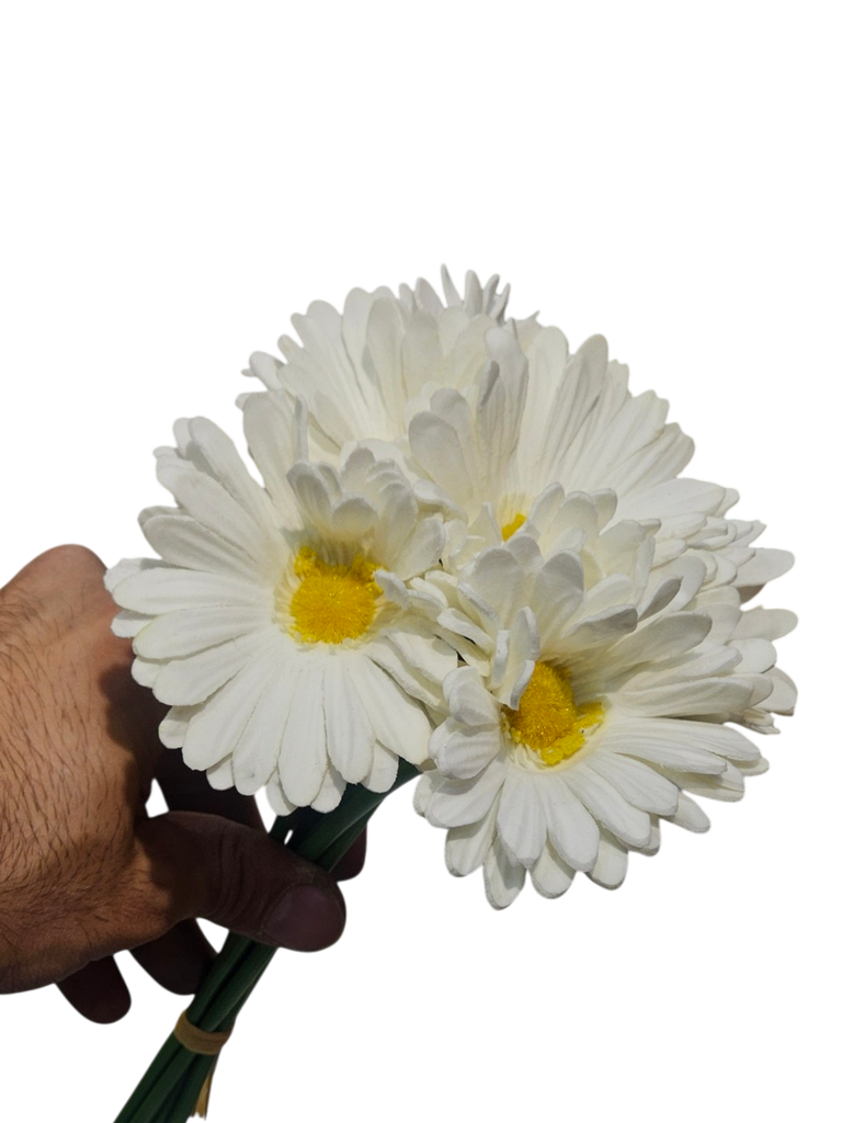 دەیزی وایت