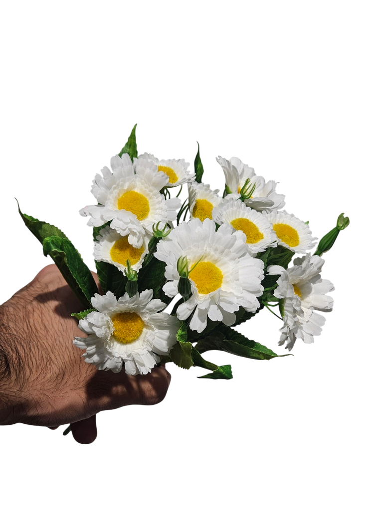 Daisy White