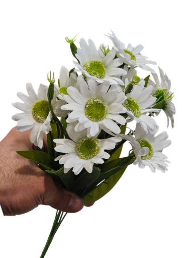 دەیزی وایت