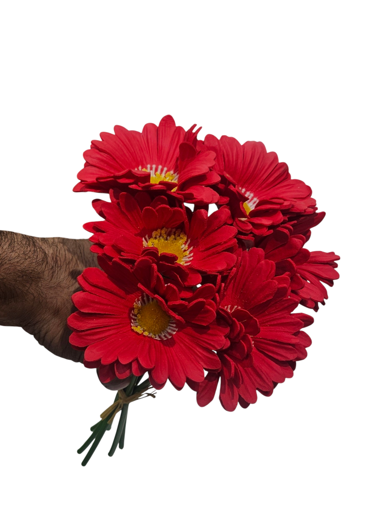 Daisy red