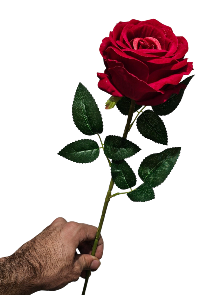 الوردة المفردة