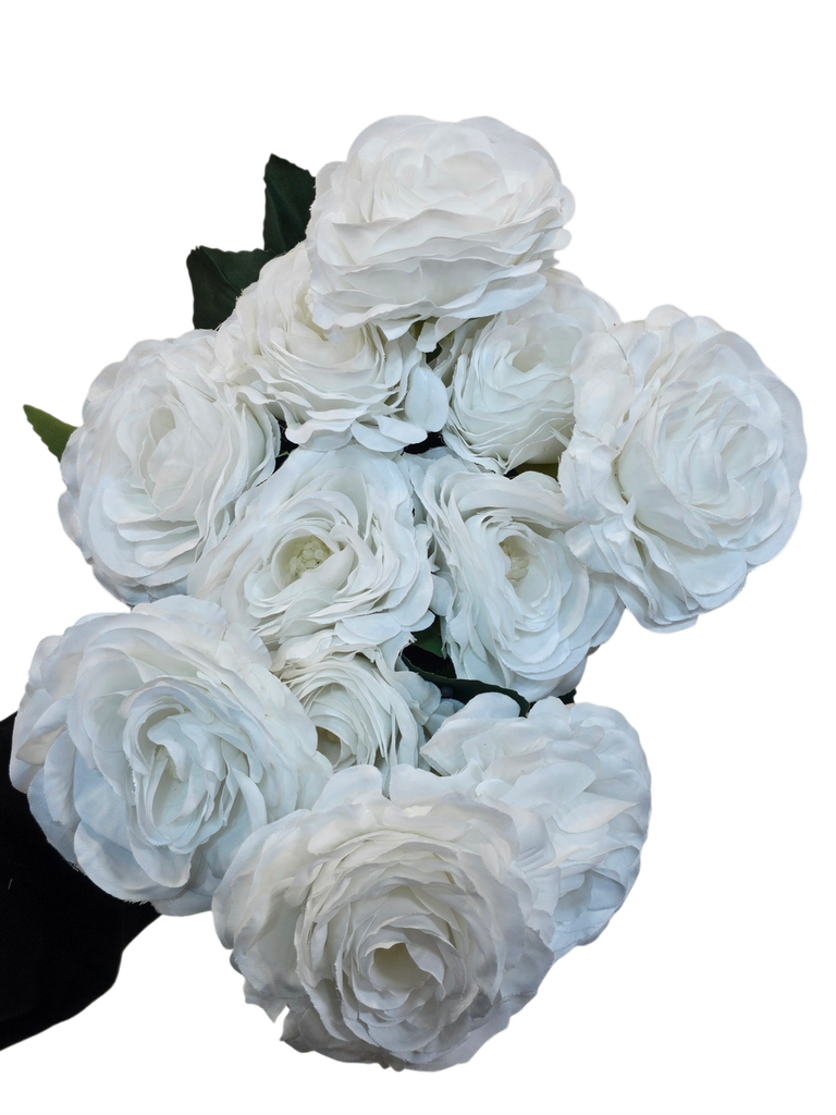 White Rose