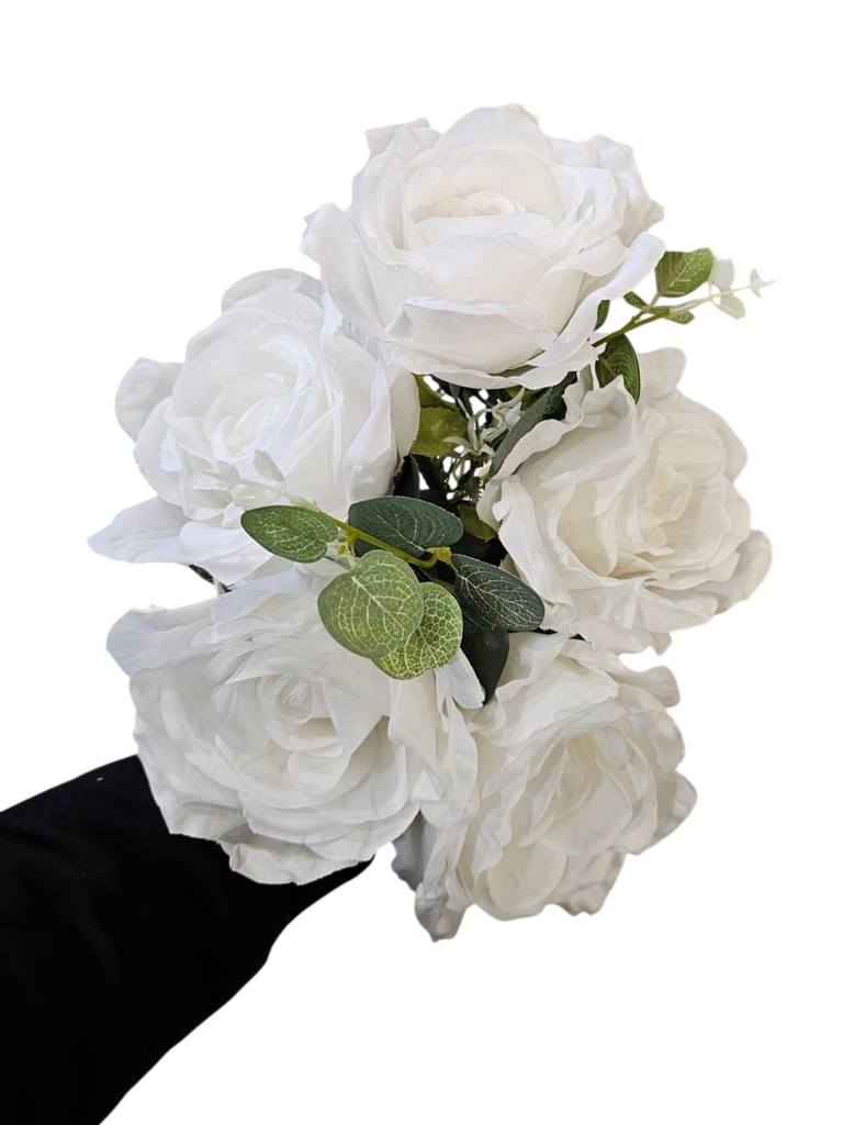 گوڵەباخی سپی