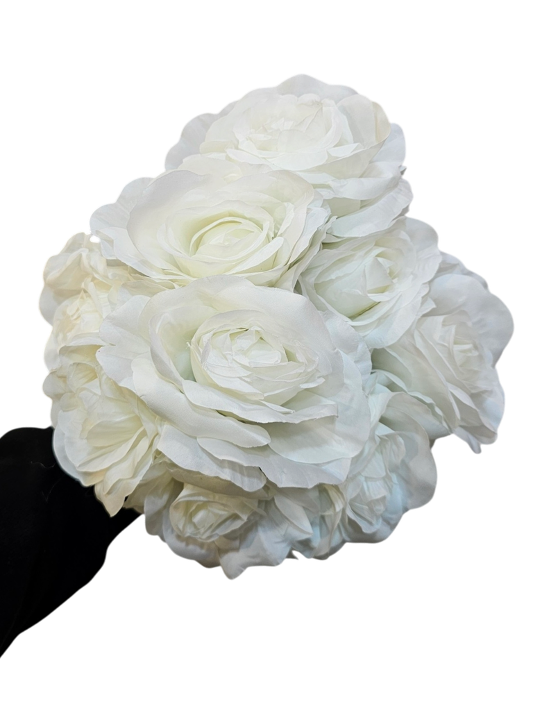 Snow White Rose