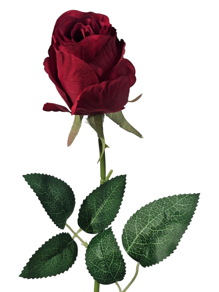 الوردة الحمراء