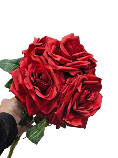 Red Rose