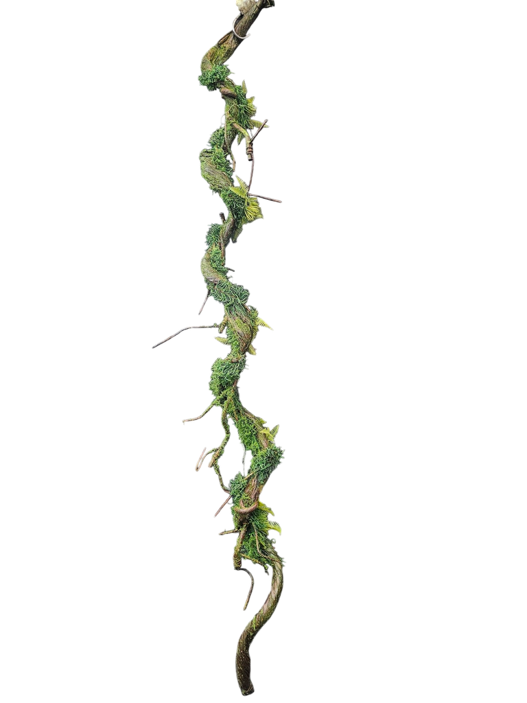 root  120 cm