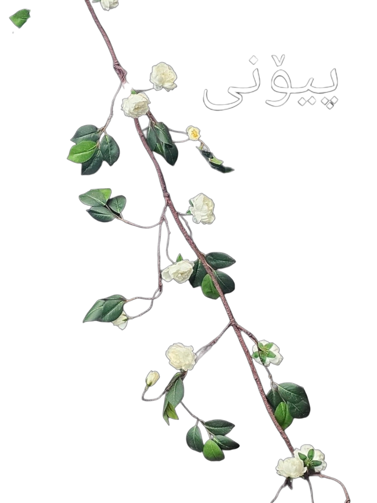 ڕەگ لەگەڵ گوڵ